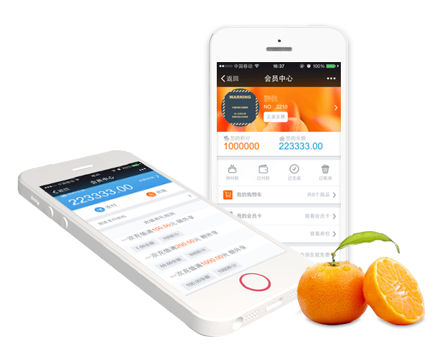 ��Ա����